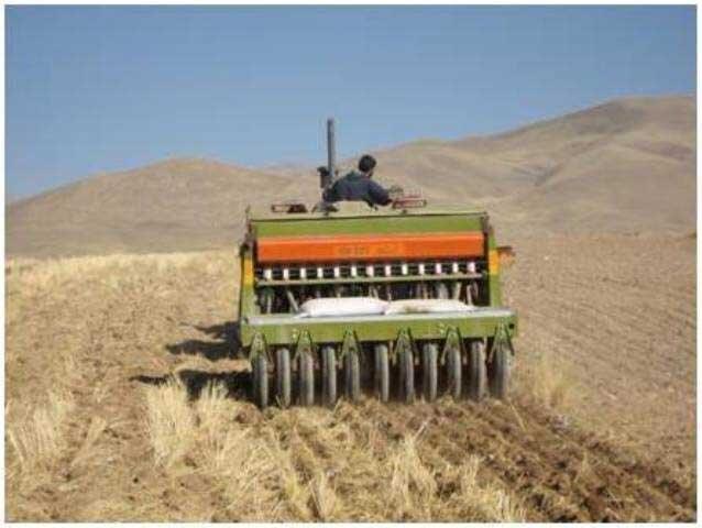 دیم کاری در ایلام، گرفتار دیمی کاری