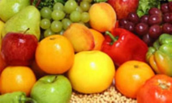 برترین غذا در بدترین هوا