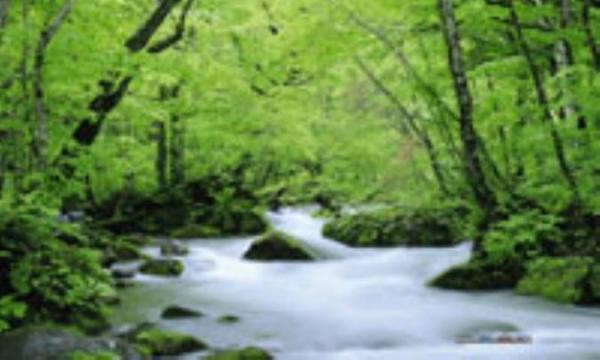 برای خوش خلق تر شدن به طبیعت نزدیک شوید!