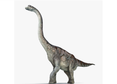 کشف گونه ای نو از یک دایناسور گردن دراز